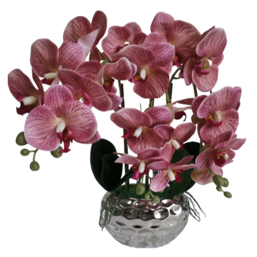 [173922-TT] Potted Orchid Pink 16in