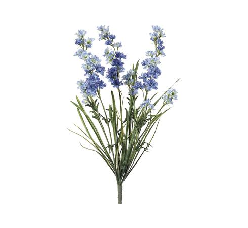 [147053-TT] Delphinium Bush Blue 24in