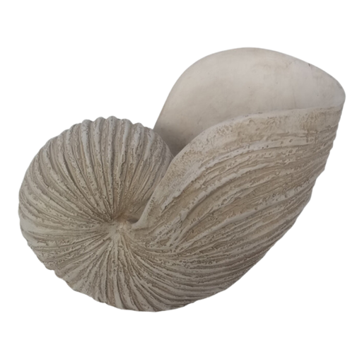 [174215-TT] Shell Sculpture Ivory 18in