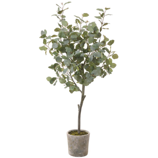 [174328-TT] Eucalyptus Tree in Pot 60in