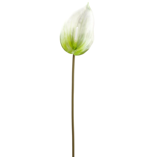 [175121-TT] Anthurium Spray White 26in