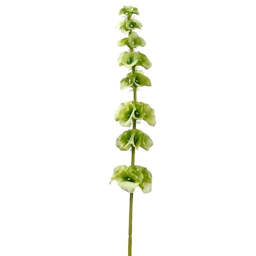 [175123-TT] Bells of  Ireland Spray Light Green 29in
