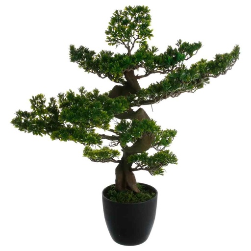 [175186-TT] Bonsai Tree in Black Pot 32in