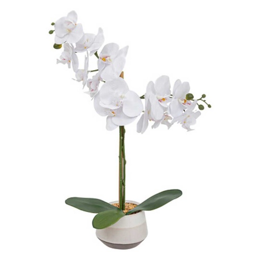[175817-TT] Orchid Ceramic Pot 20in