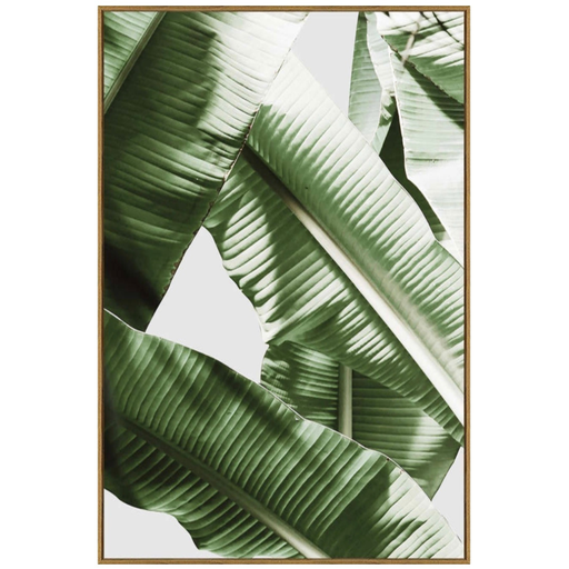 [175963-TT] Banana Leaf I Framed Print on Tempered Glass 24WX36H