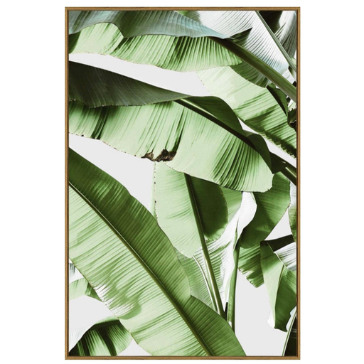 [175964-TT] Banana Leaf II  Framed Print on Tempered Glass 24in x 36in