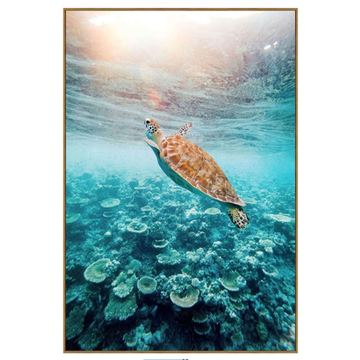 [175967-TT] Sea Turtle II Framed Print on Tempered Glass 34x50in