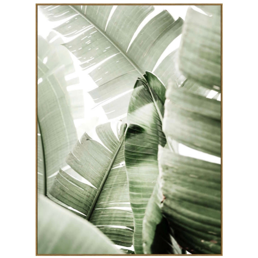 [175986-TT] Banana Leaf III Framed Print on Tempered Glass 40in x 54in
