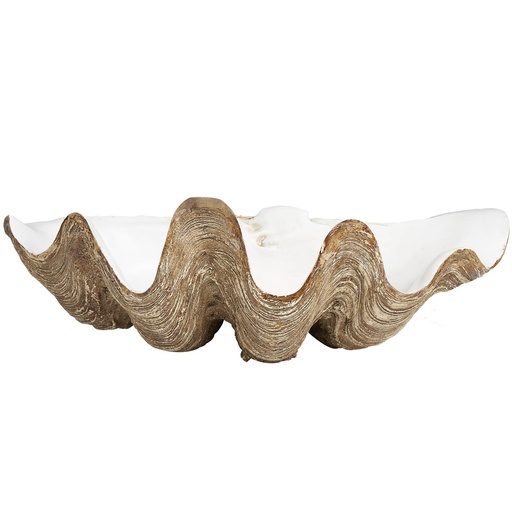 [176877-TT] Clam Shell Decorative Bowl 20in