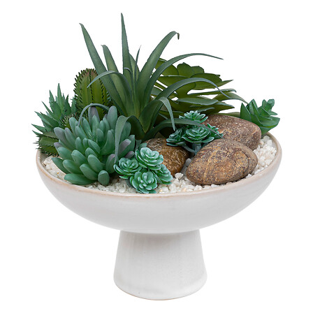 [177418-TT] Succulents in Footed Ceramic Pot 8in