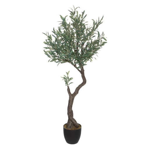 [178205-TT] Olive Tree in Pot 59in