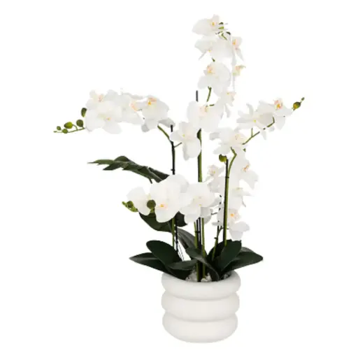 [178504-TT] Mick Orchid in Ceramic Pot 31.5in