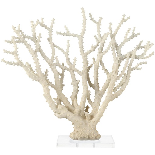 [178801-TT] Cream Coral Sculpture With Acrylic Base 26x23in