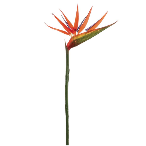 [178806-TT] Bird of Paradise Spray 36in