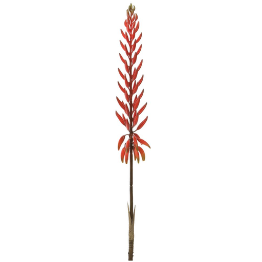 [178807-TT] Agave Flower Spray 28in