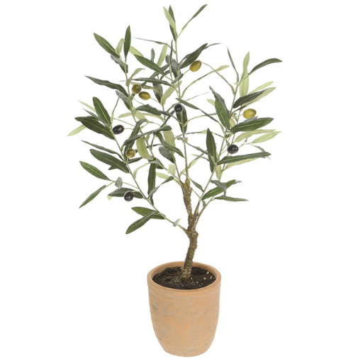 [178825-TT] Olive Tree in Cement Pot 26in
