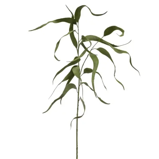[179527-TT] Eucalyptus Spray Green 31.5in