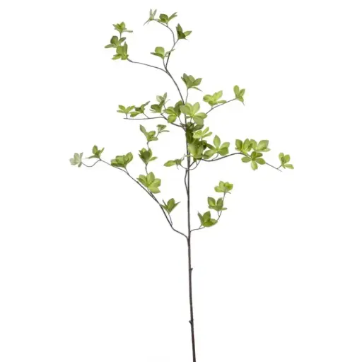 [179537-TT] Cornus Leaf Spray Green 45in