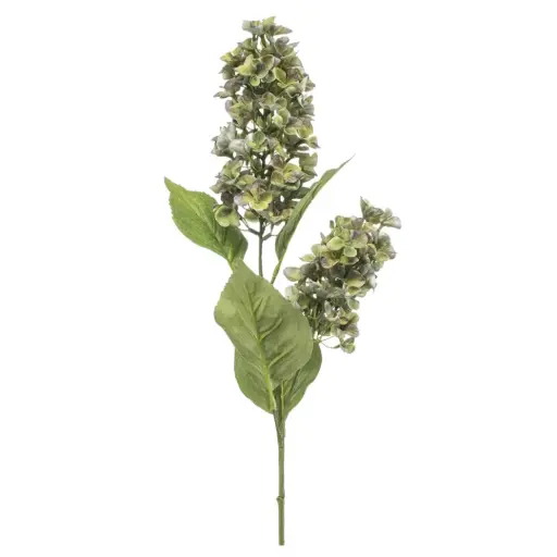 [179538-TT] Hydrangea Paniculata Spray Green 30in
