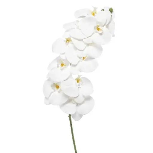 [179539-TT] Phalaenopsis Spray White 39in