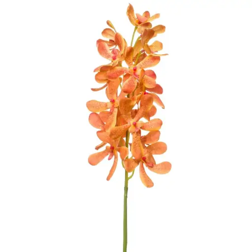 [179546-TT] Vanda Spray Orange 31.5in