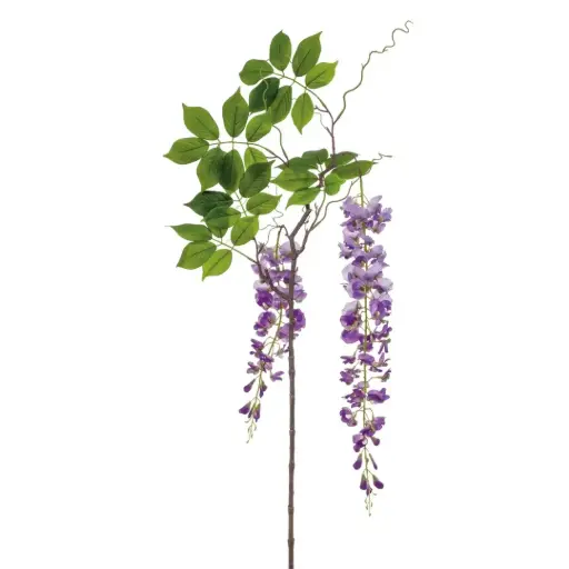 [179551-TT] Wisteria Branch Purple 57in
