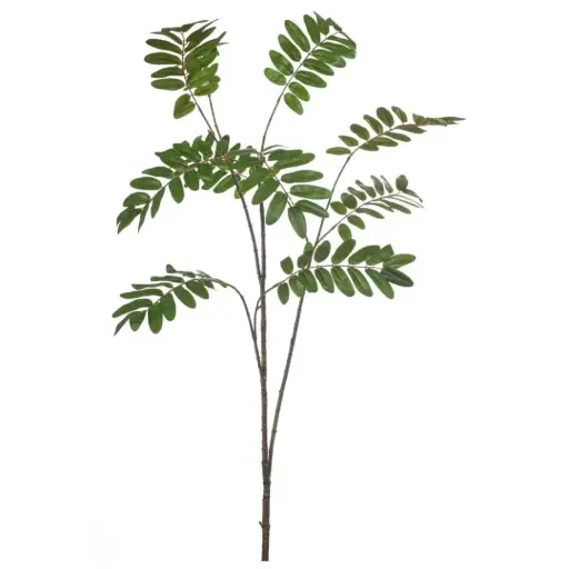 [179553-TT] Mahonia Branch Green 59in