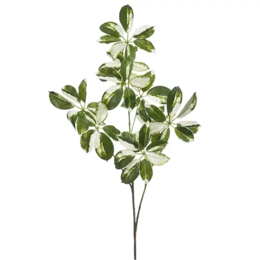 [179554-TT] Schefflera Branch Green & White 43in