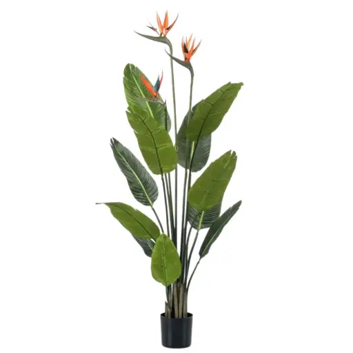 [179562-TT] Strelitzia Tree Flowers 47in