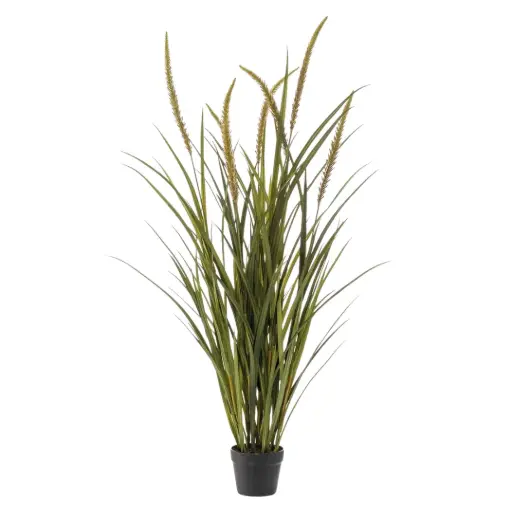 [179564-TT] Grass Foxtail in Pot 51in