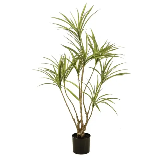 [179567-TT] Dracaena Tree 47in