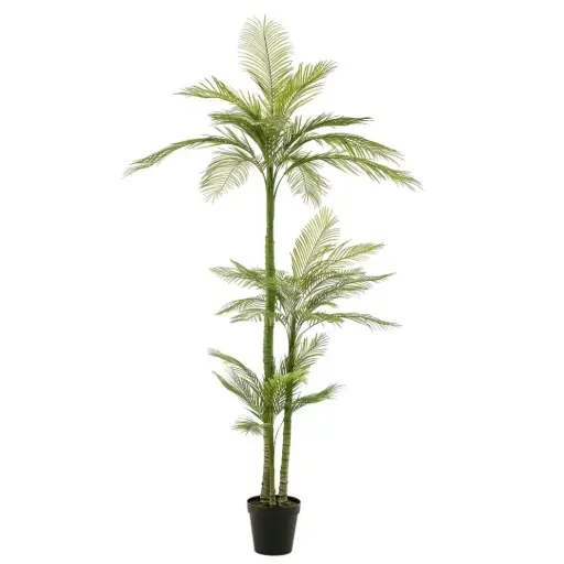 [179576-TT] Phoenix Palm Deluxe 8ft