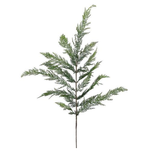 [179765-TT] Cedar Spray 40in