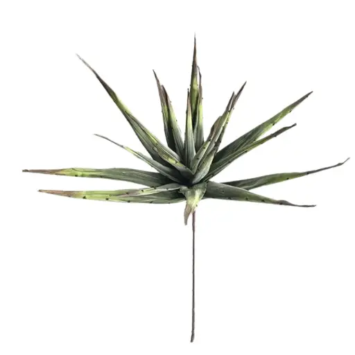 [179786-TT] Malulu Green Stem 35in