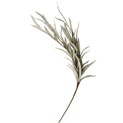 [179812-TT] Eucalyptus Blooms Green Stem 35in