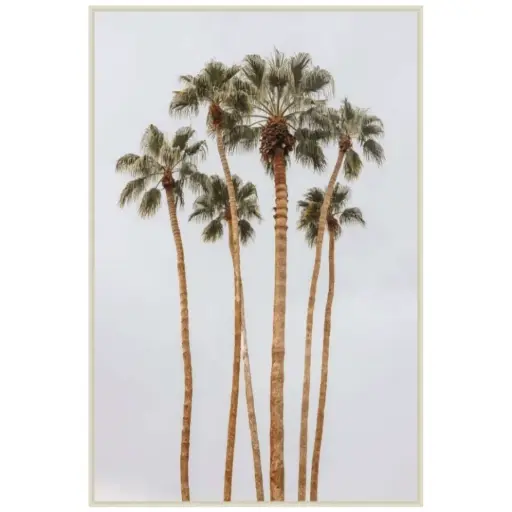 [180541-TT] Palm Haze II Tempered Glass 24x36in