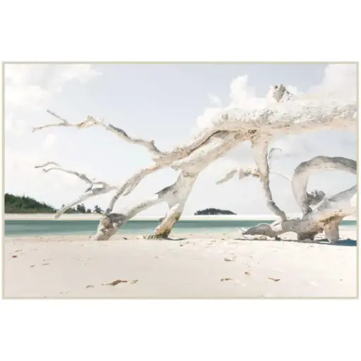 [180561-TT] Driftwood Tempered Glass Art 40x60in
