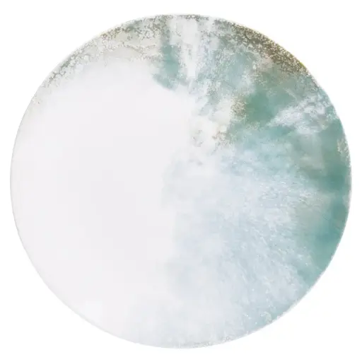 [180769-TT] Arctic Dinner Plate