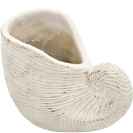 [180863-TT] Nautilus Shell Planter 8.5in