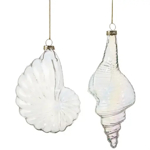 [181056-TT] Iridescent Sea Shell Ornament Assorted 7in