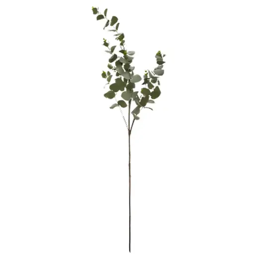 [181372-TT] Flocked Eucalyptus Branch 39in