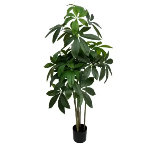 [181843-TT] Money Tree 5.2ft