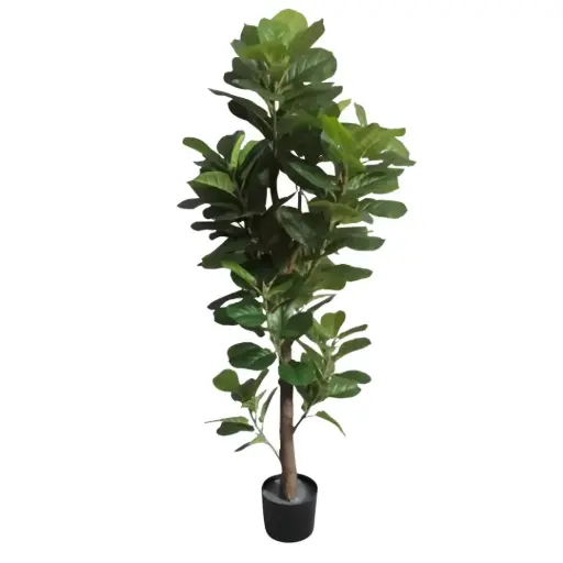 [181849-TT] Fiddle Leaf Fig Tree 5.6ft