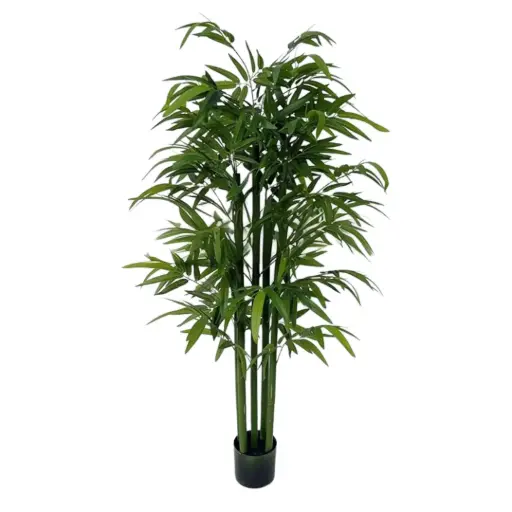 [181851-TT] Bamboo Tree 6.11ft