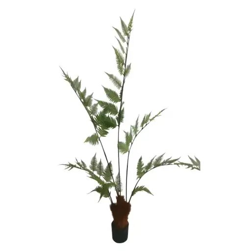 [181858-TT] Fern Tree 6.11ft