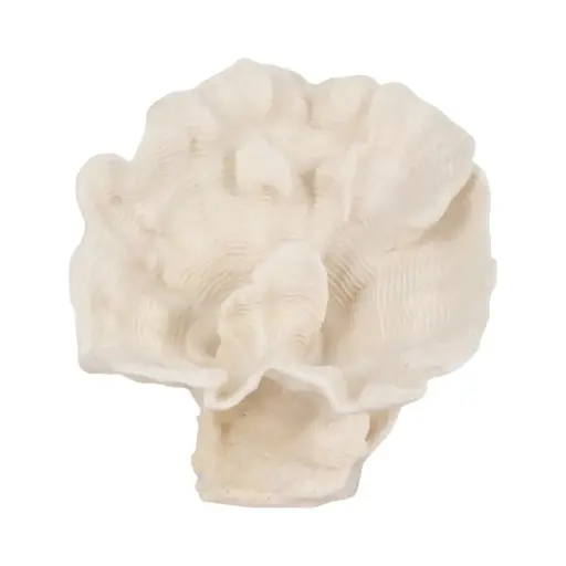 [182842-TT] Coral Sculpture Ivory 12in 