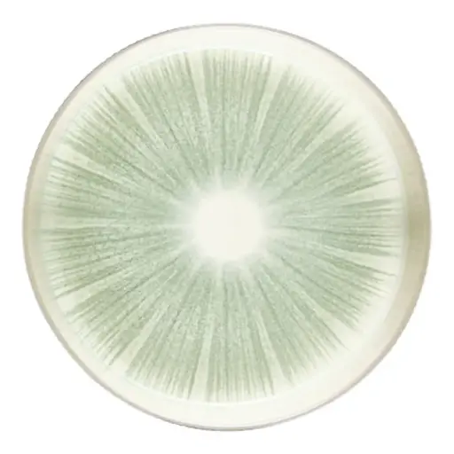 [183240-TT] Eva Deep Plate Green