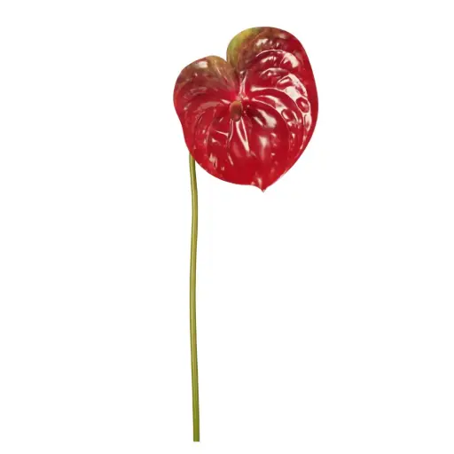 [183329-TT] Anthurium Spray Burgundy 26in