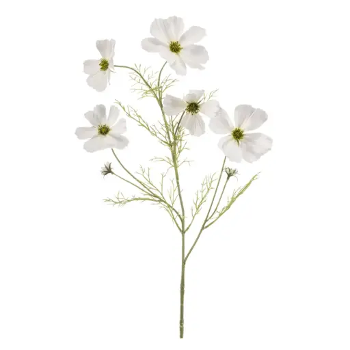 [183331-TT] Cosmos Spray White 30in