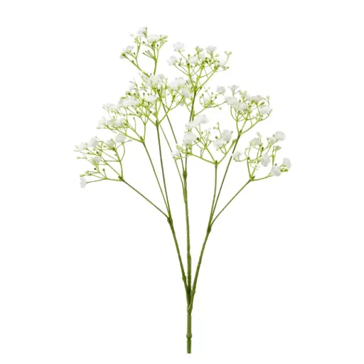 [183332-TT] Gypsophila Spray White 27in